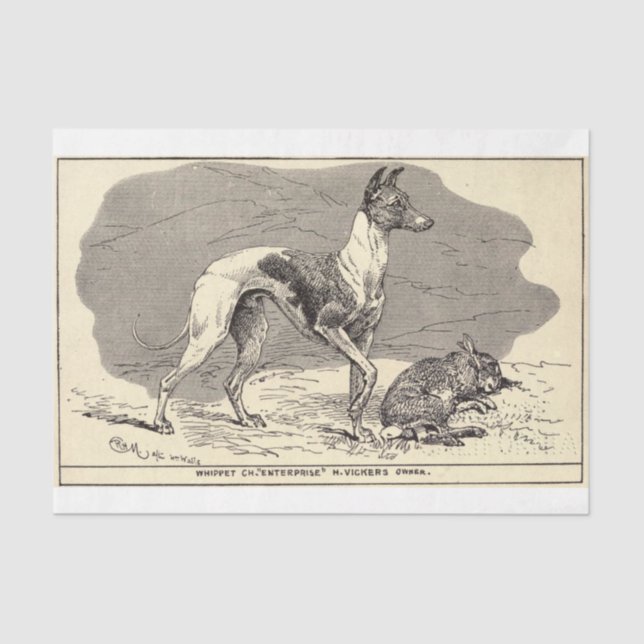 Papier Mousseline Chien vintage Ephemera Decoupage Whippet (Recto)