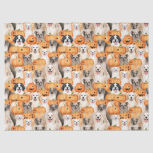 Papier Mousseline Chiens d'Halloween - Races de chiens mignons avec