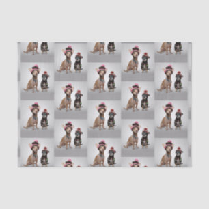 Papier Mousseline Chihuahua