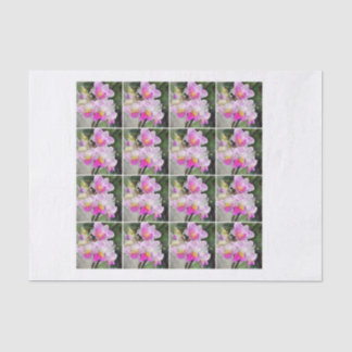 Papier Mousseline chintz rose de decoupage d'orchidée de 16