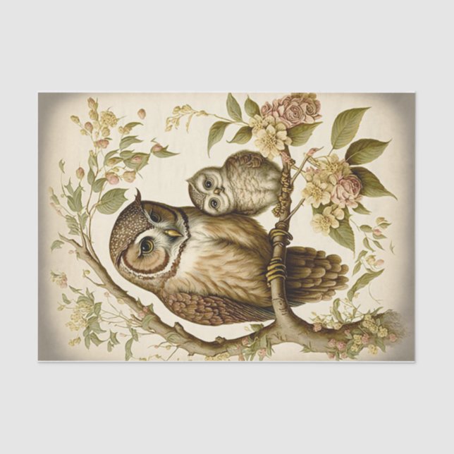 Papier Mousseline Chouette et bébé (Recto)