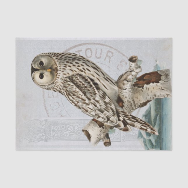 Papier Mousseline Chouette vintage - Découpage bleu (Recto)