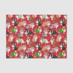 Papier Mousseline Christmas Shelter Shetland Sheepdog