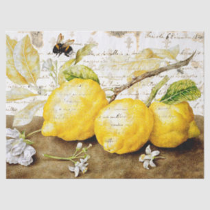 Papier Mousseline Citron Vintage Et Éphémère D'Abeille