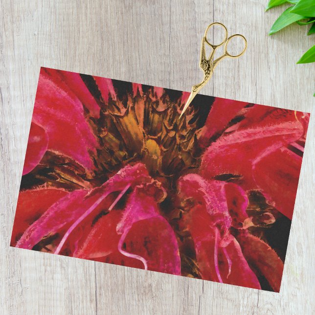 Papier Mousseline Closeuse de la fleur de l'abeille rouge vive (Créateur téléchargé)