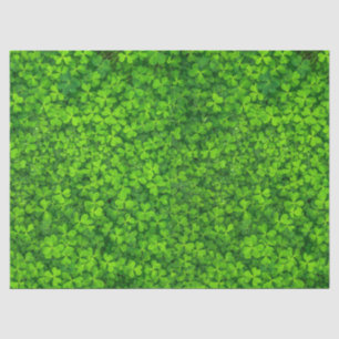 Papier Mousseline Clovers verts à feuilles avec gouttes d'eau