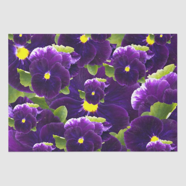 Papier Mousseline Clusters de Pansy Profond Violet : Beauté majestue (Recto)