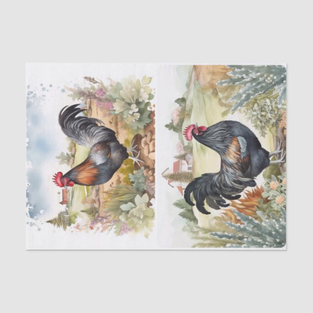 Papier Mousseline Cocosters (Recto)