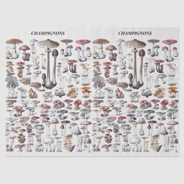 Papier Mousseline Collage de champignons vintages (Recto)