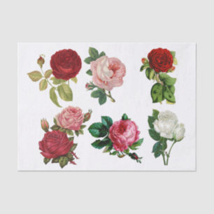 Papier Mousseline Collage de Roses
