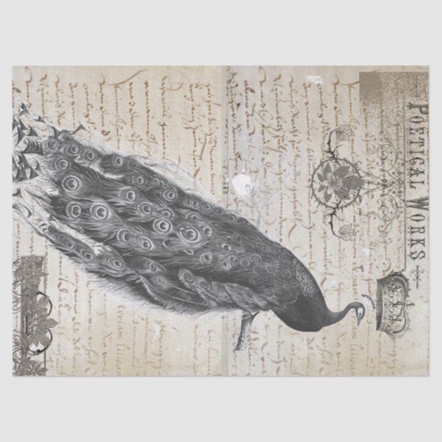 Papier Mousseline Collage d'éphémères de paon (Recto)