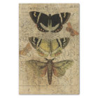 Collage No.501 d'insecte