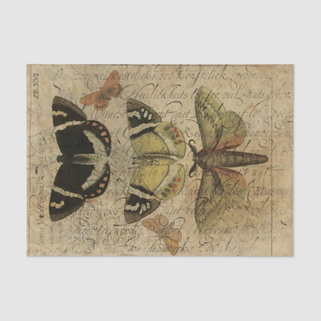 Papier Mousseline Collage No.501 d'insecte (Recto)