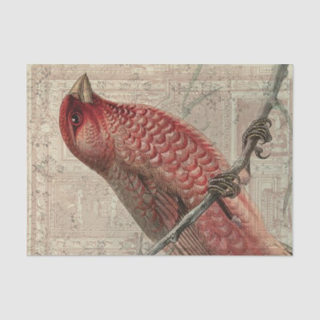 Papier Mousseline Collage vintage d'oiseau (Recto)