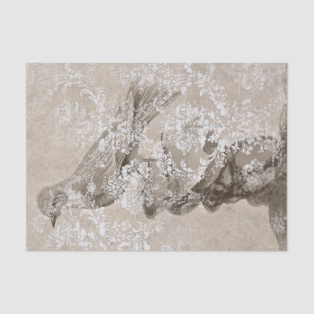 Papier Mousseline Collage vintage d'oiseaux (Recto)