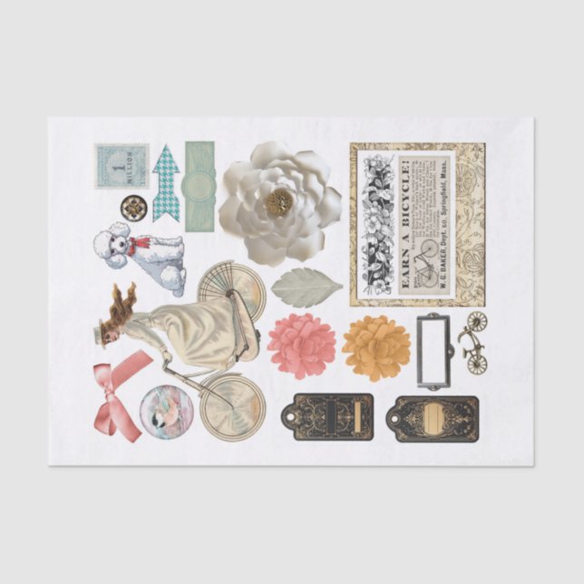 Papier Mousseline Collection Assortie de coupes Fussy Random Ephemer (Recto)