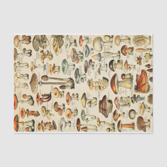 Papier Mousseline Collection de champignons Papier de tissus (Recto)