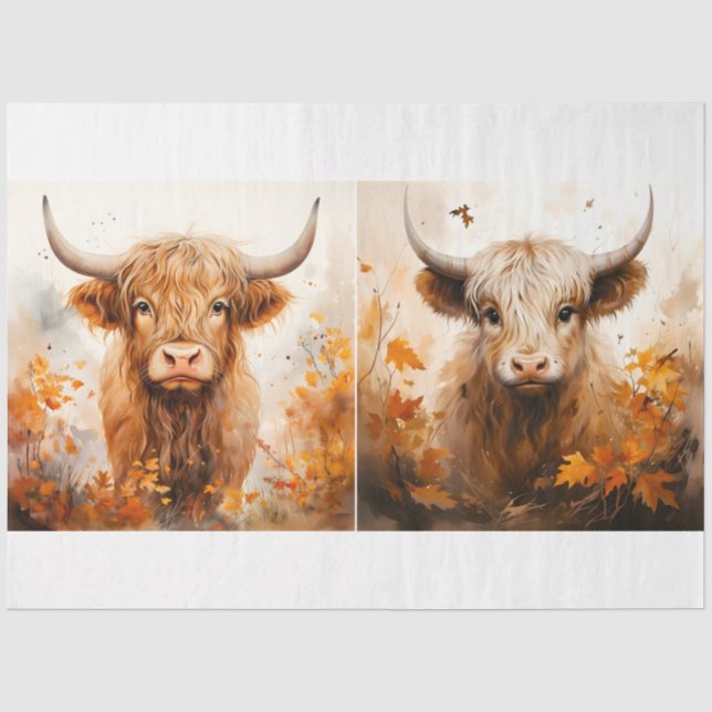 Papier Mousseline Collection Design de vaches Highland 2 (Recto)