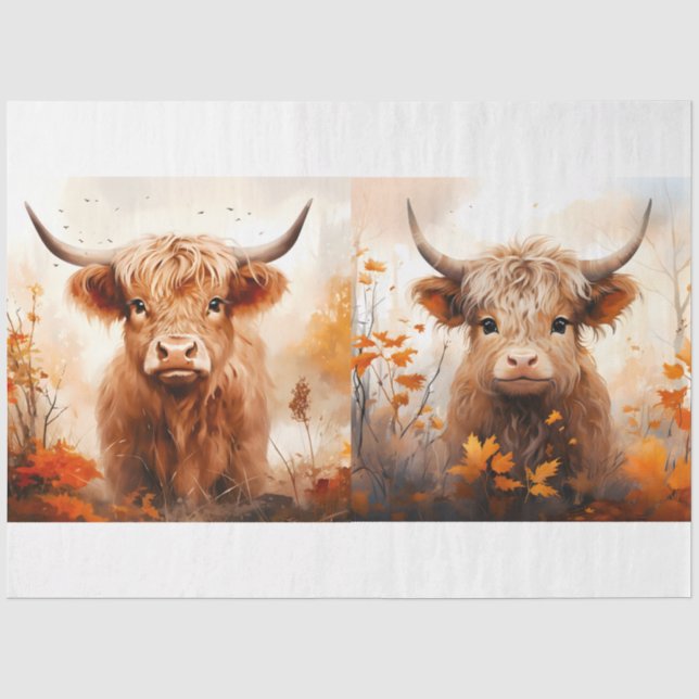Papier Mousseline Collection Design de vaches Highland 4 (Recto)