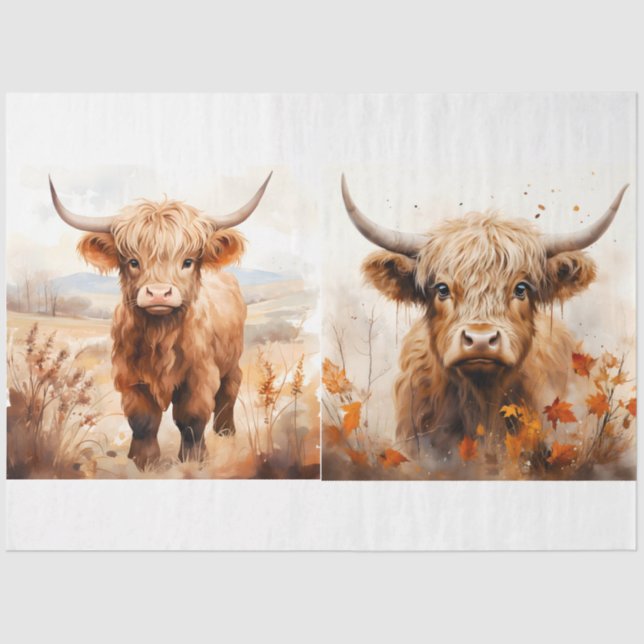 Papier Mousseline Collection Design de vaches Highland 5 (Recto)