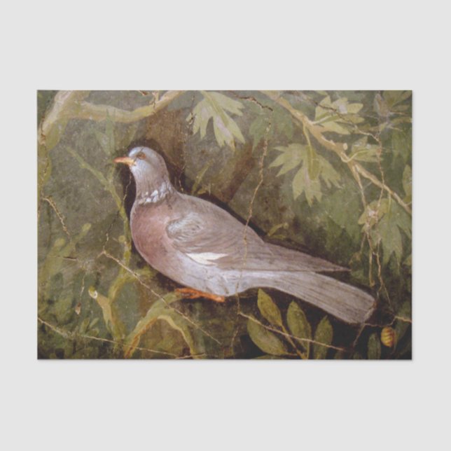 PAPIER MOUSSELINE COLLECTION POMPEII / DOVE DANS LE JARDIN (Recto)