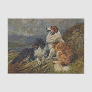 Papier Mousseline Collies sur la mare par John Emms
