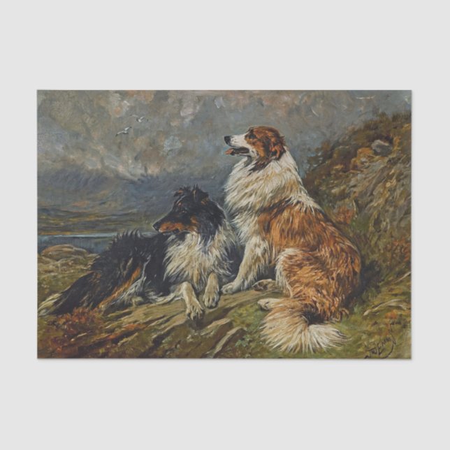 Papier Mousseline Collies sur la mare par John Emms (Recto)