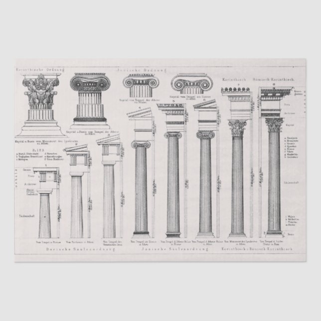 Papier Mousseline Colonnes romaines antiques Dessin architectural (Recto)
