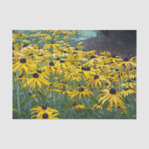 Papier Mousseline Coloré Yellow Black Eyed Susan Floral Photo