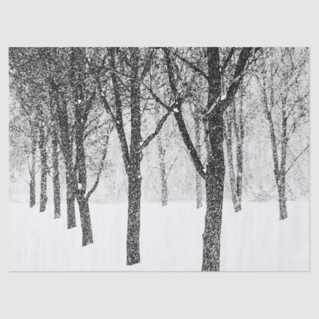 Papier Mousseline comme je suis aux arbres (Recto)