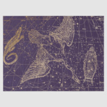 Conception de la série de cartes stellaires de la