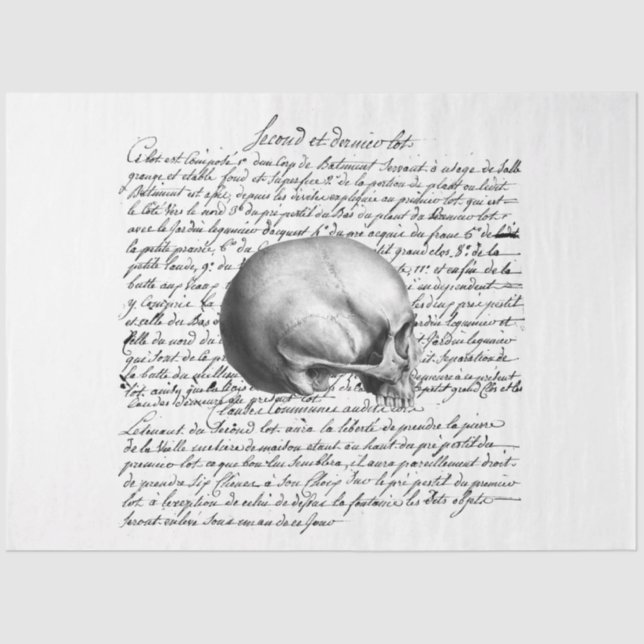 Papier Mousseline Conception de la série Gothique Debutante 5 (Recto)