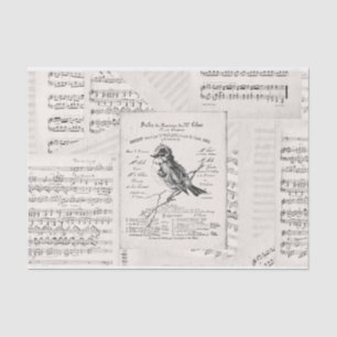 Papier Mousseline Concert de musique française Bird Sheet Musique Vi