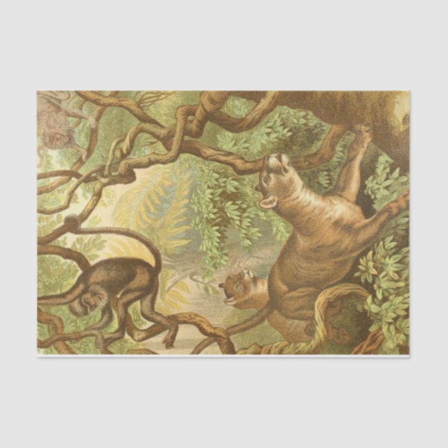 Papier Mousseline cool Jungle animaux decoupage artisanat amoureux (Recto)