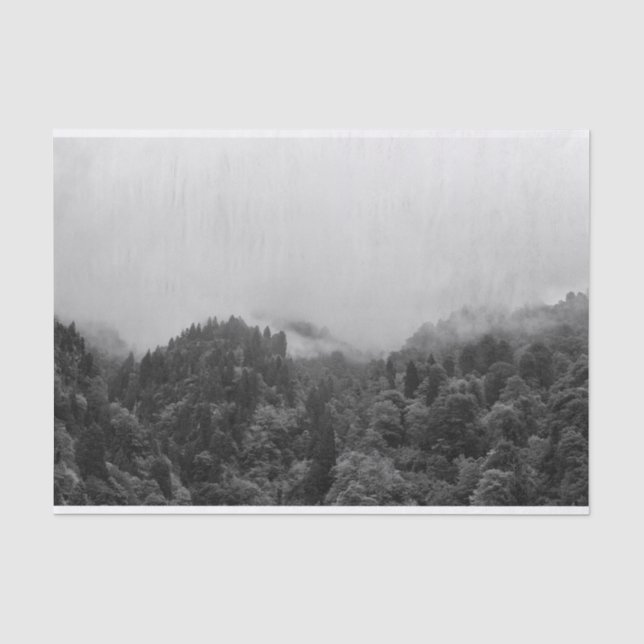 Papier Mousseline Cool, nature brumeuse magique (Recto)