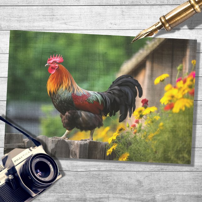 Papier Mousseline Coq dans le pays 3 Document de découpage (Créateur téléchargé)