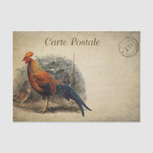 Papier Mousseline Coq Postale Carte De Style Français
