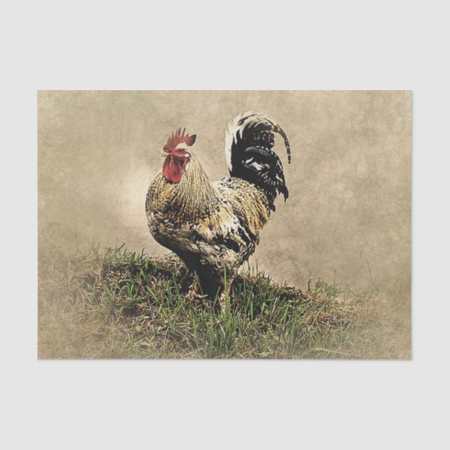 Papier Mousseline Coq vintage dans l'herbe (Recto)