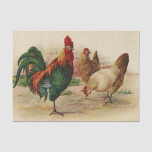 Papier Mousseline Coqs vintages et tissus de la fête des poules