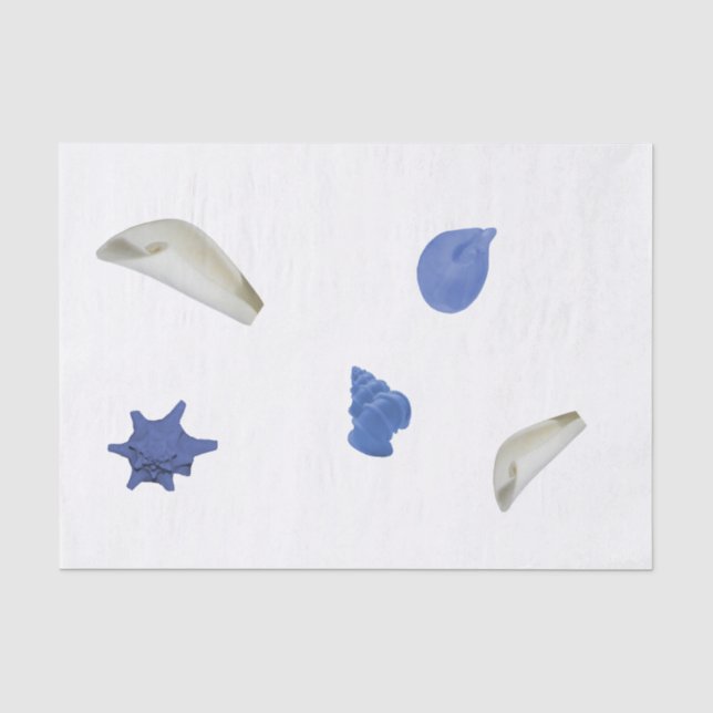 Papier Mousseline Coquillage côtier amusant bleu 10lb Papier de tiss (Recto)