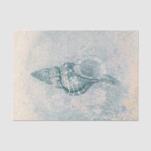 Papier Mousseline Coquillage sarcelle beige texture vintage océan pl