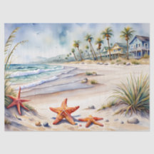 Coquillage sur la plage