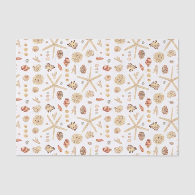 Papier Mousseline Coquillages aquarelles (Recto)