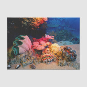 Papier Mousseline Coquillages de corail sous-marins tropicaux de