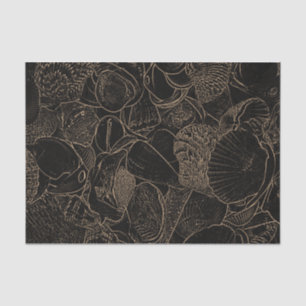 Papier Mousseline Coquillages Sepia Black Vintage Art Ocean Beach