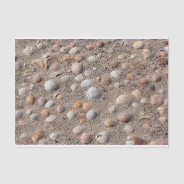 Papier Mousseline Coquillages sur la plage (Recto)