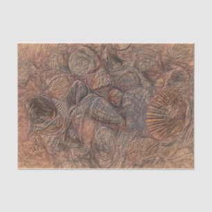Papier Mousseline Coquilles de mer Vintages Ocean Beach Découpage Br