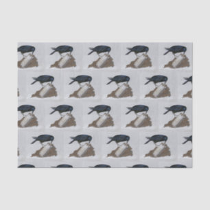 Papier Mousseline Corneille et Harmonica