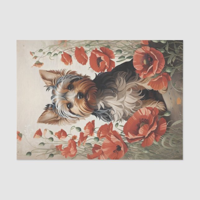 Papier Mousseline Corte Yorkshire Terrier Botanique Poppies rouges (Recto)