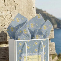 Côté verger Amalfi Studio Azur venteux
